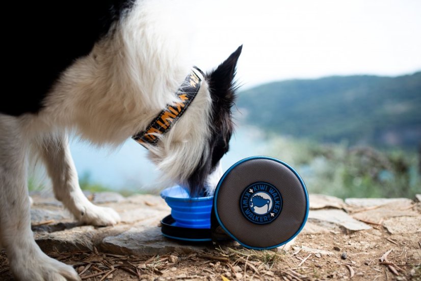 Cestovní miska se slowfeederem - Zelená