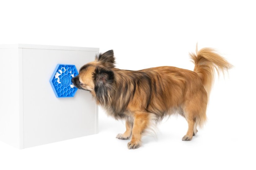 Lízací podložka – HEXA MINI – Modrá