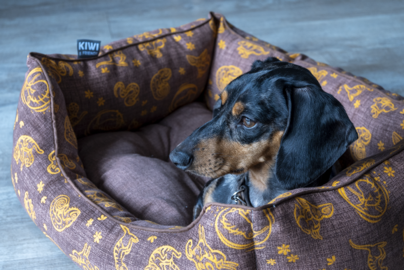 Kiwi & Friends Sofa bed - Zelená - XL