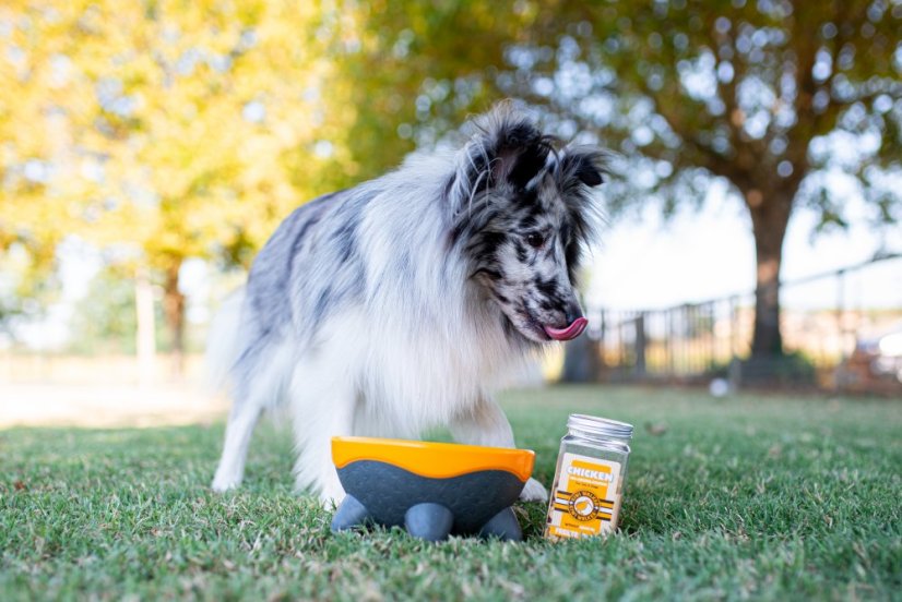 Miska UFO - M - Zelená