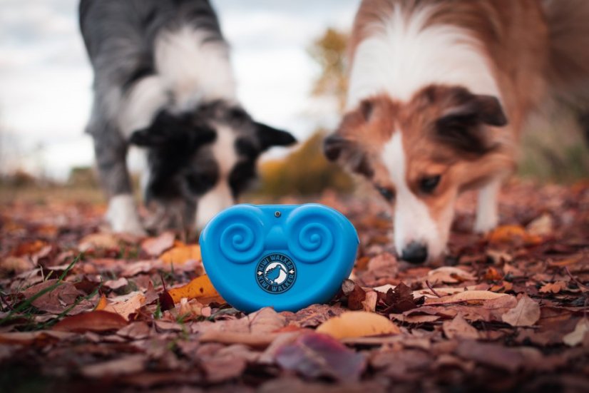 Pamlskovník - Růžová