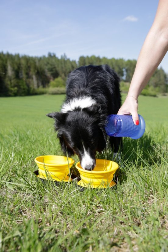 Cestovní láhev - Jedna velikost - Oranžová/Zelená