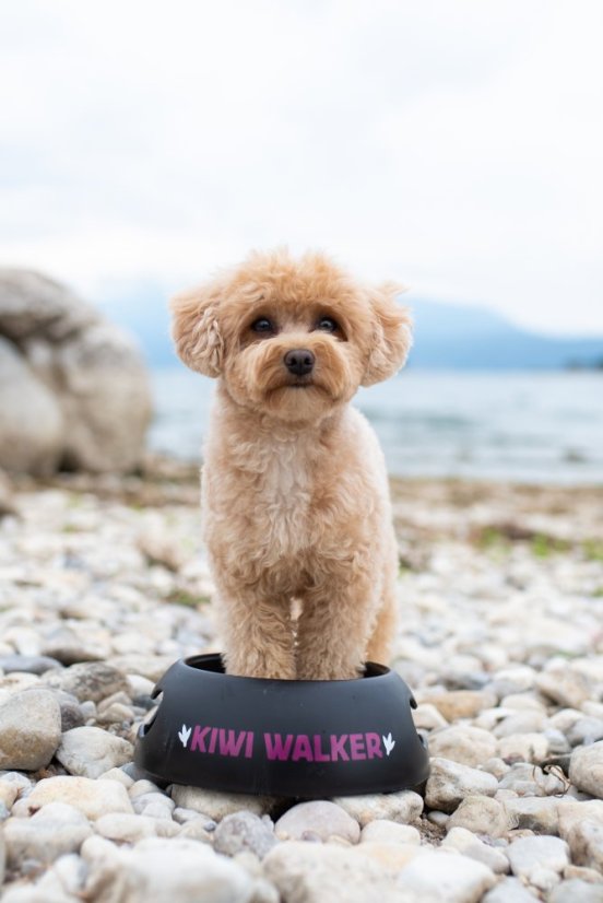 Miska BLACK BOWL - M - Modrá