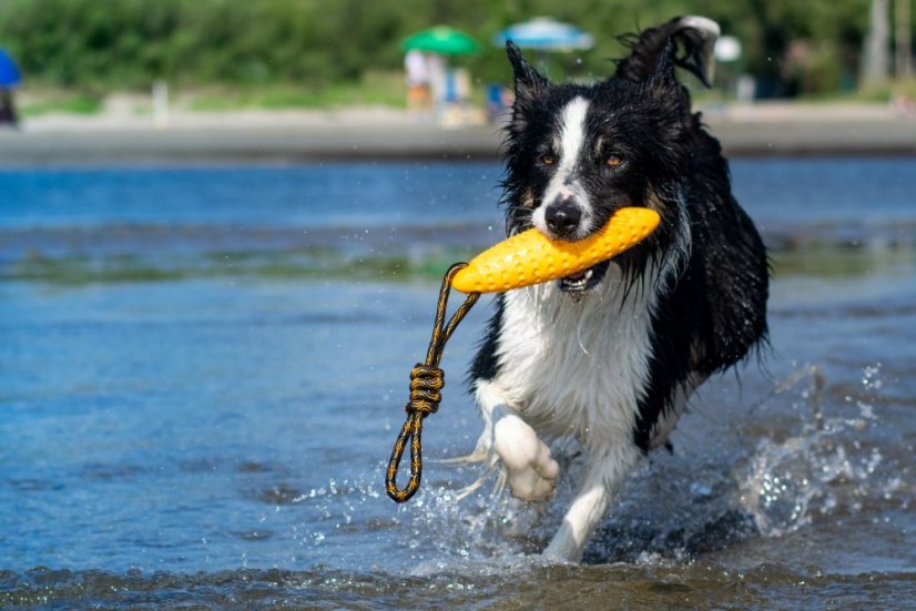 Létající a plovací zeppelin z TPR pěny - MINI  - Zelená