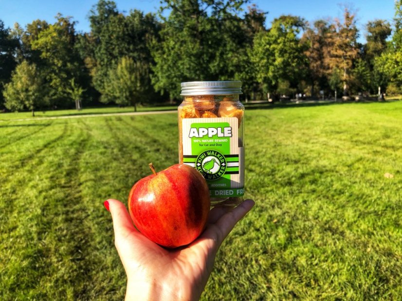 Mrazem sušený pamlsek jablko 35 g