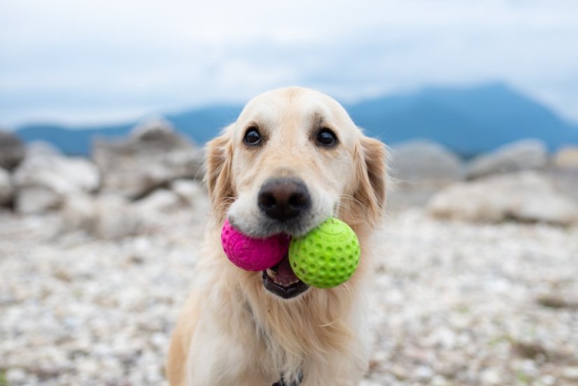 Létající a plovací míček z TPR pěny - MINI  - Zelená