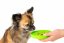 Protihltacia miska a lízacia podložka 2v1 - PAW MINI - Zelená