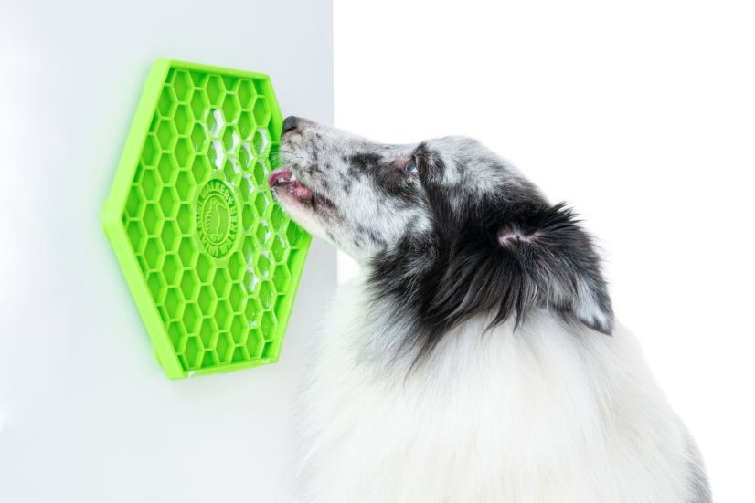 Lízací podložka – HEXA – Zelená