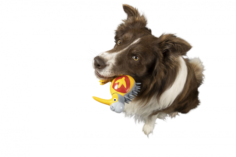 Latexová pískací hračka Kiwi Knight oranžová