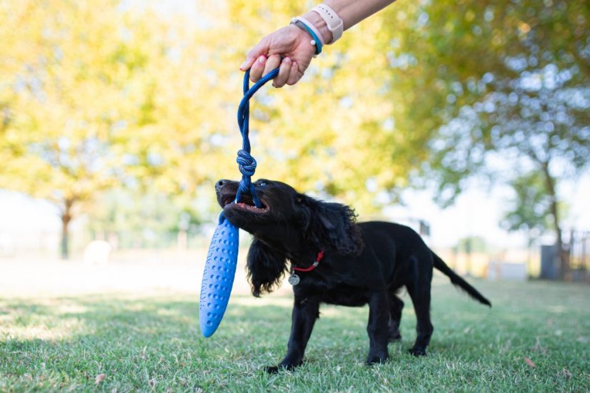 Létající a plovací zeppelin z TPR pěny - MAXI  - Růžová